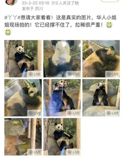 丫丫爆料视频,幕后真相大曝光 第2张 丫丫爆料视频,幕后真相大曝光 第2张