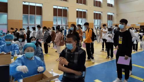 张岚最新爆料消息新闻,揭秘娱乐圈最新劲爆新闻  第2张